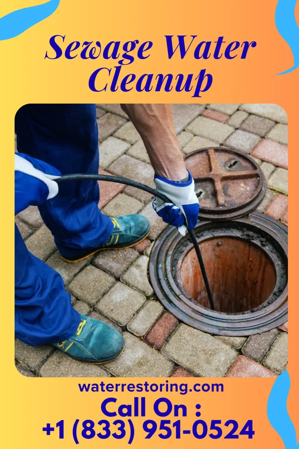 Sewage Water Cleanup in Haskins, OH